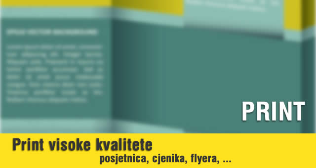 Print usluge